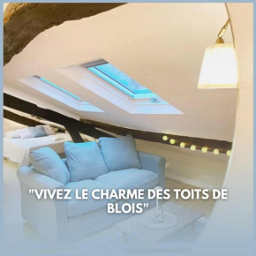 Le Grenier - Blois hyper centre